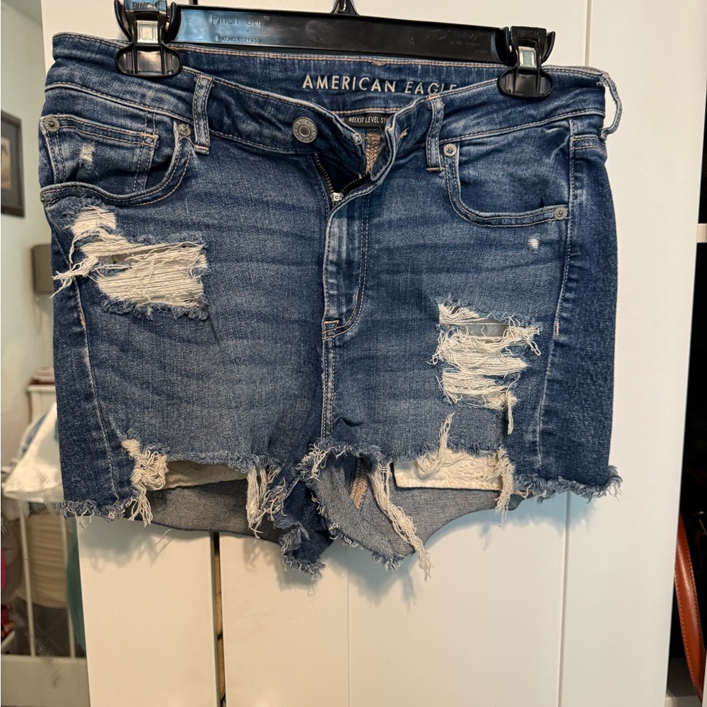 American Eagle Outfitters Blue Distressed Jean Shorts